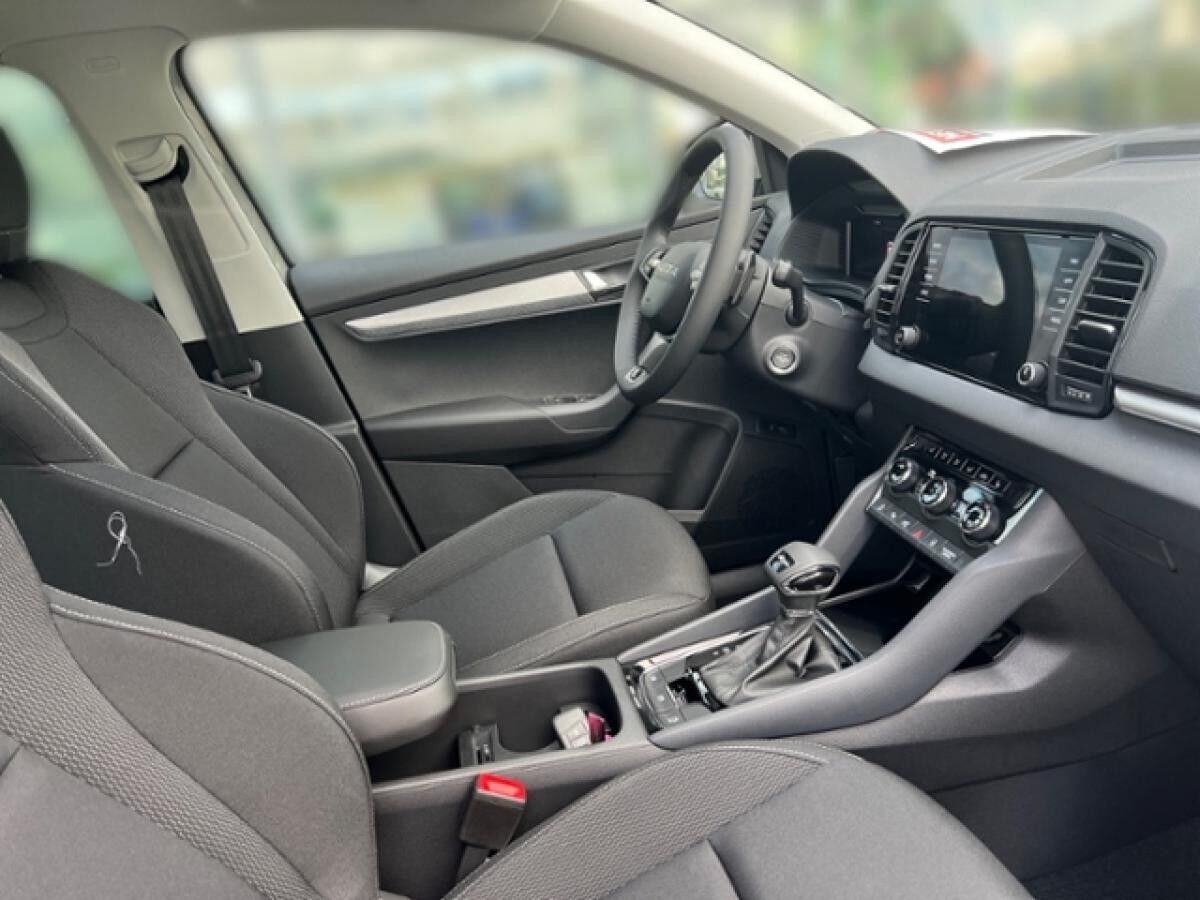 Skoda Karoq TOUR 2.0 TDI DSG*NAVI*PANO*RFK*AHK