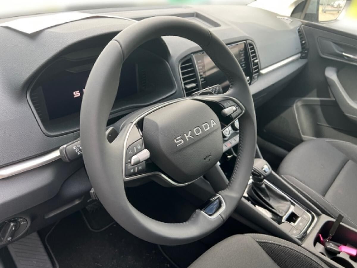 Skoda Karoq TOUR 2.0 TDI DSG*NAVI*PANO*RFK*AHK