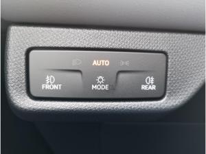 Cupra Terramar 2.0 TSI DSG 4Drive AHK Aktion bis 30.01.2026