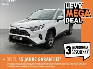 Toyota RAV 4 2.5 Business Edition +Allwetter+TEMP+Kamera+