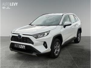 Toyota RAV 4 2.5 Business Edition +Allwetter+TEMP+Kamera+