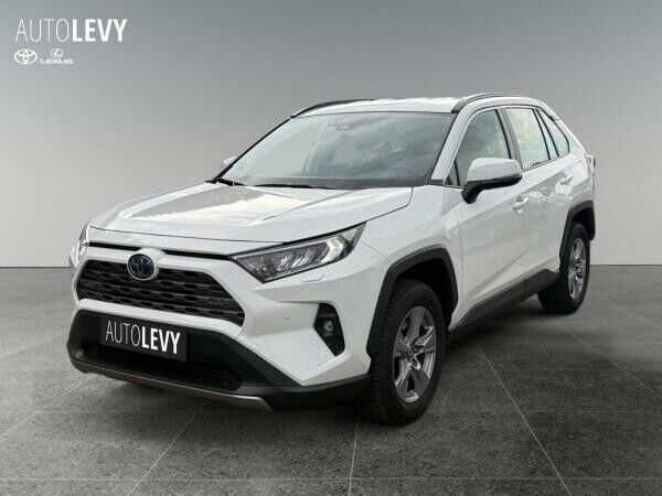 Toyota RAV 4 2.5 Business Edition +Allwetter+TEMP+Kamera+