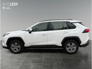 Toyota RAV 4 2.5 Business Edition +Allwetter+TEMP+Kamera+