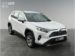 Toyota RAV 4 2.5 Business Edition +Allwetter+TEMP+Kamera+