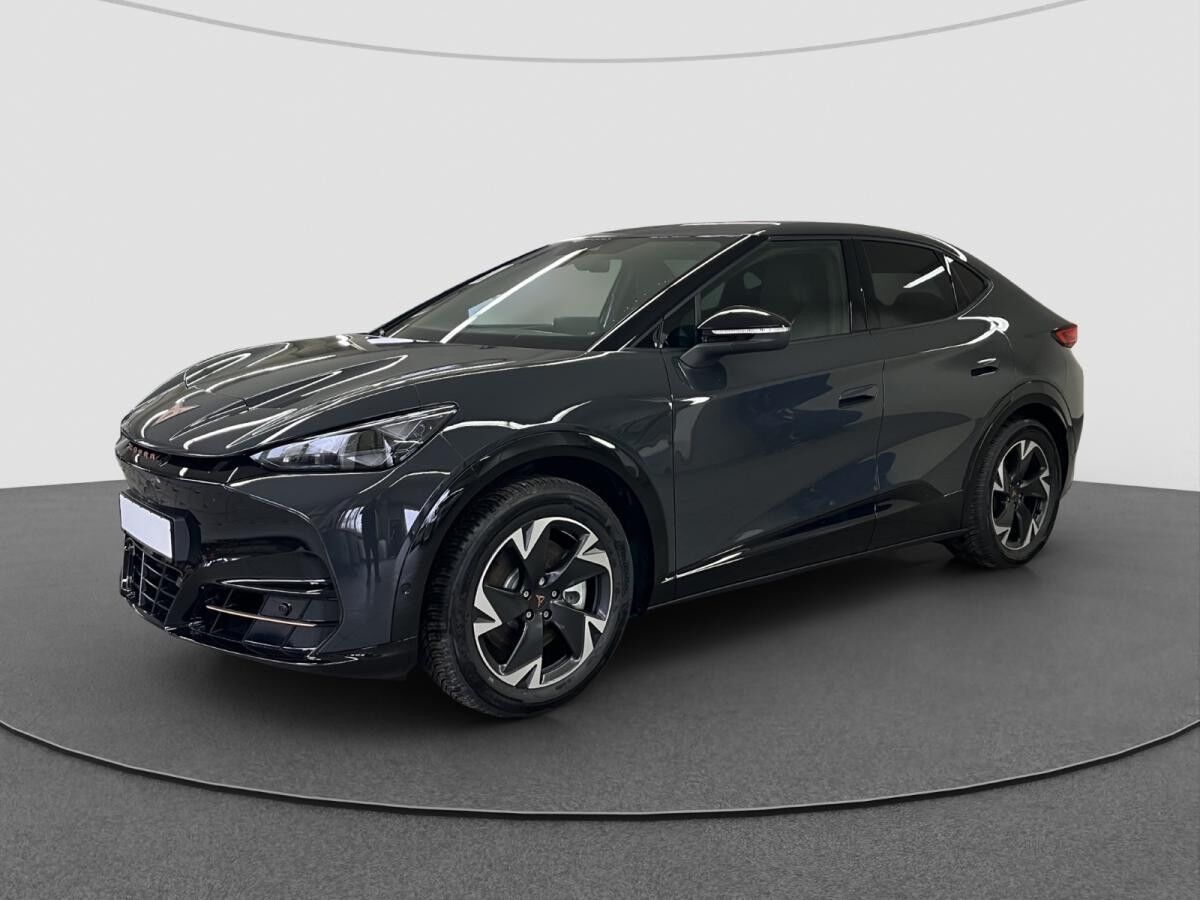 Cupra Tavascan Endurance 19 HEAT-PUMP ALLWETTERREIFEN *Drive Pack*