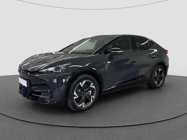 Cupra Tavascan Endurance 19 HEAT-PUMP ALLWETTERREIFEN *Drive Pack*