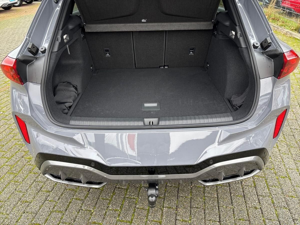 Cupra Terramar VZ 2.0 TSI DSG 4Drive Sennheiser AHK Schiebedach