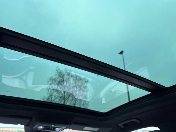 Cupra Terramar 1.5 eTSI DSG, DSG, NAVI, PANO, SENNHEISER, AHK
