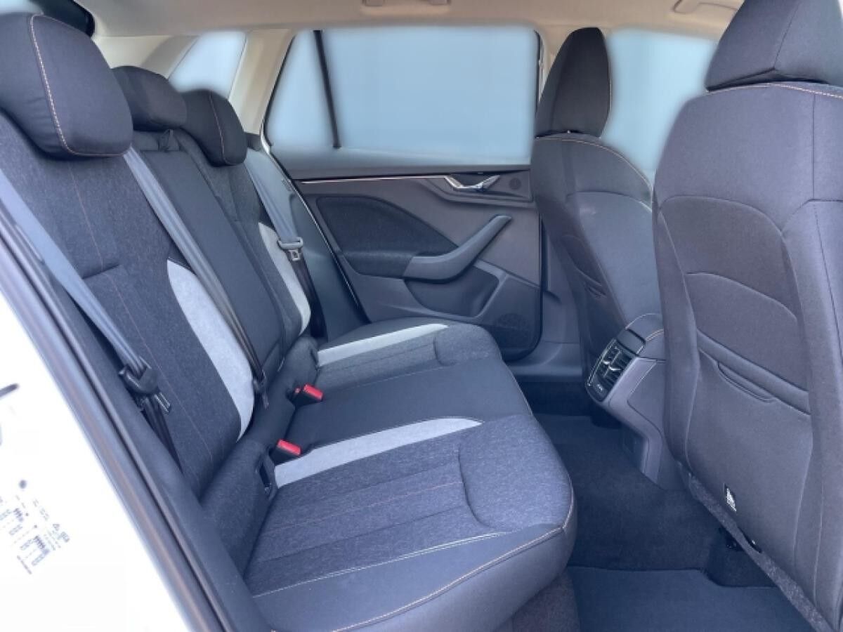 Skoda Kamiq Tour 1.0 TSI DSG Matrix,Kamera,AHK,ACC