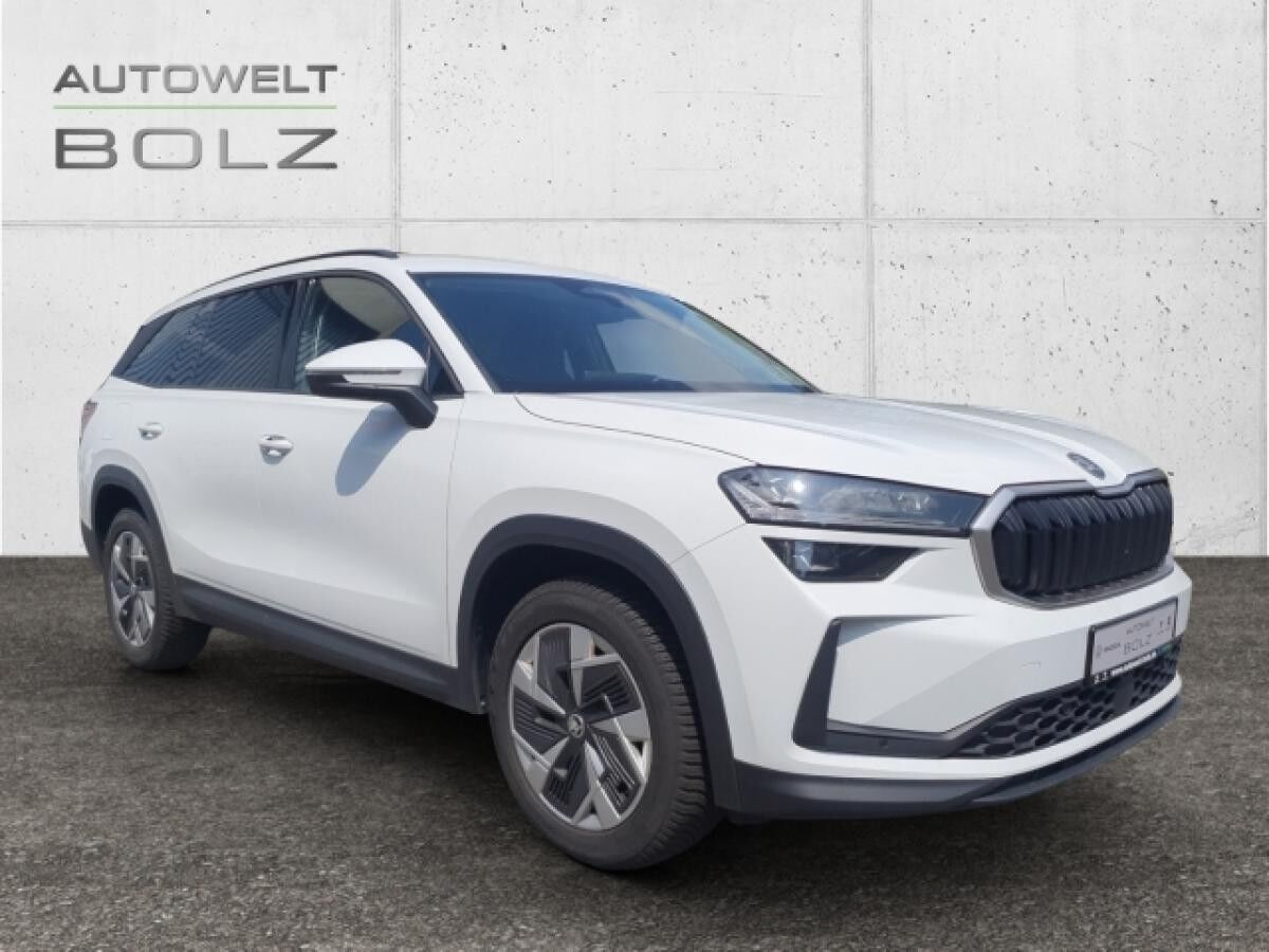Skoda Kodiaq Selection 2.0 TDI 4x4 AHK Navi Matrix Kamera Digitales Cockpit Memory Sitze