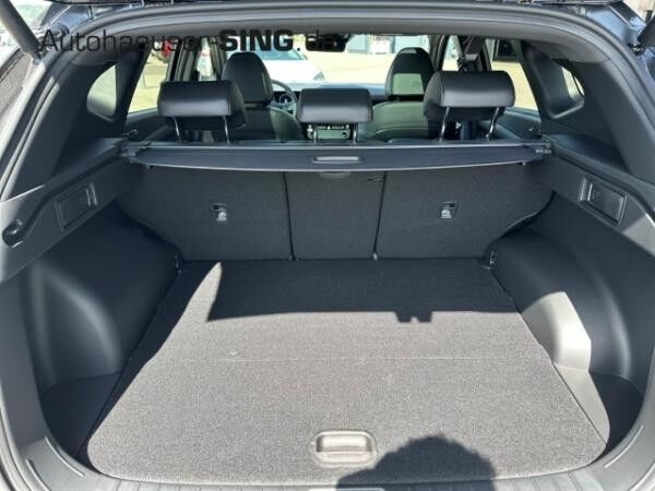 Hyundai Tucson N-Line Automatik Pano Abstandstemp. LED