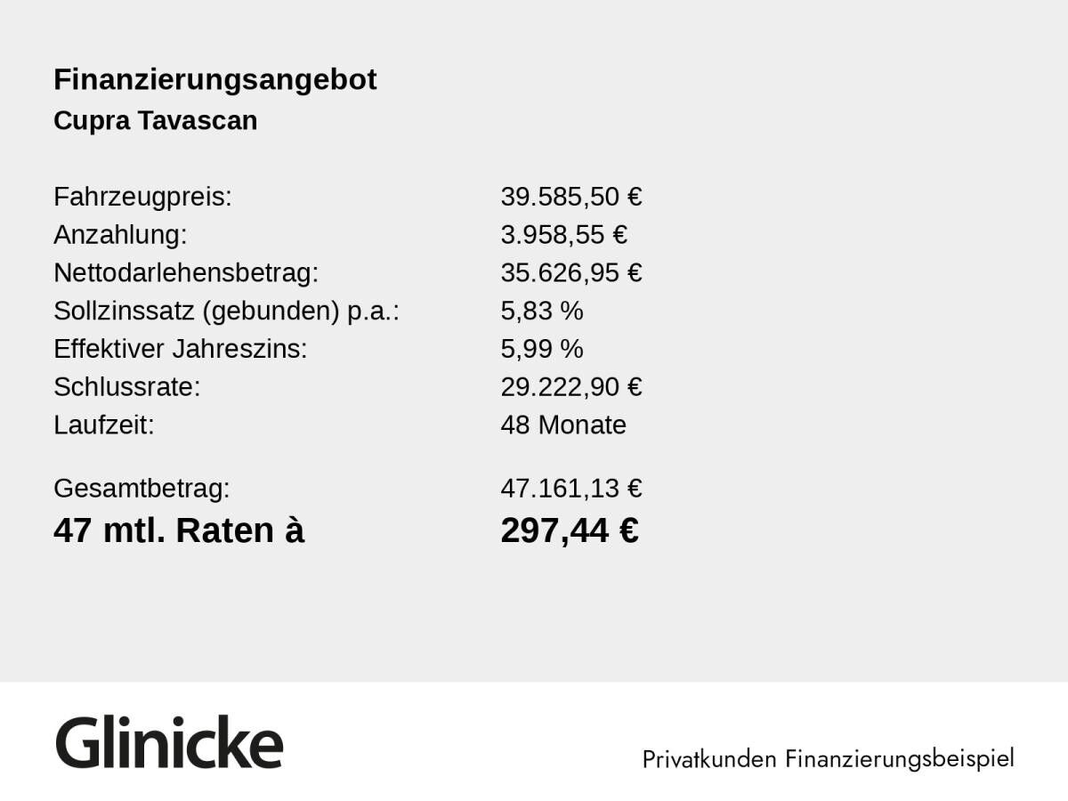 Cupra Tavascan Endurance h