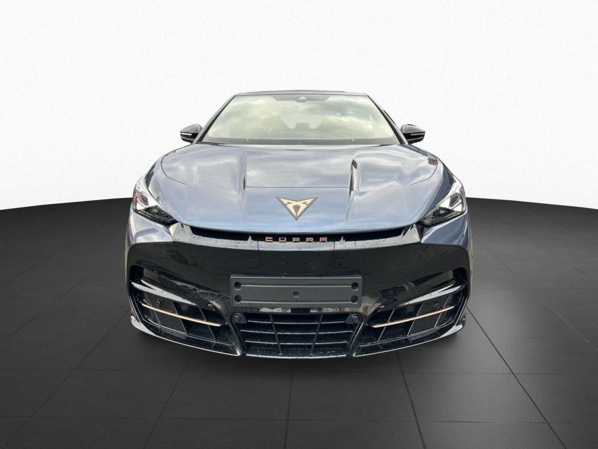 Cupra Tavascan Endurance h