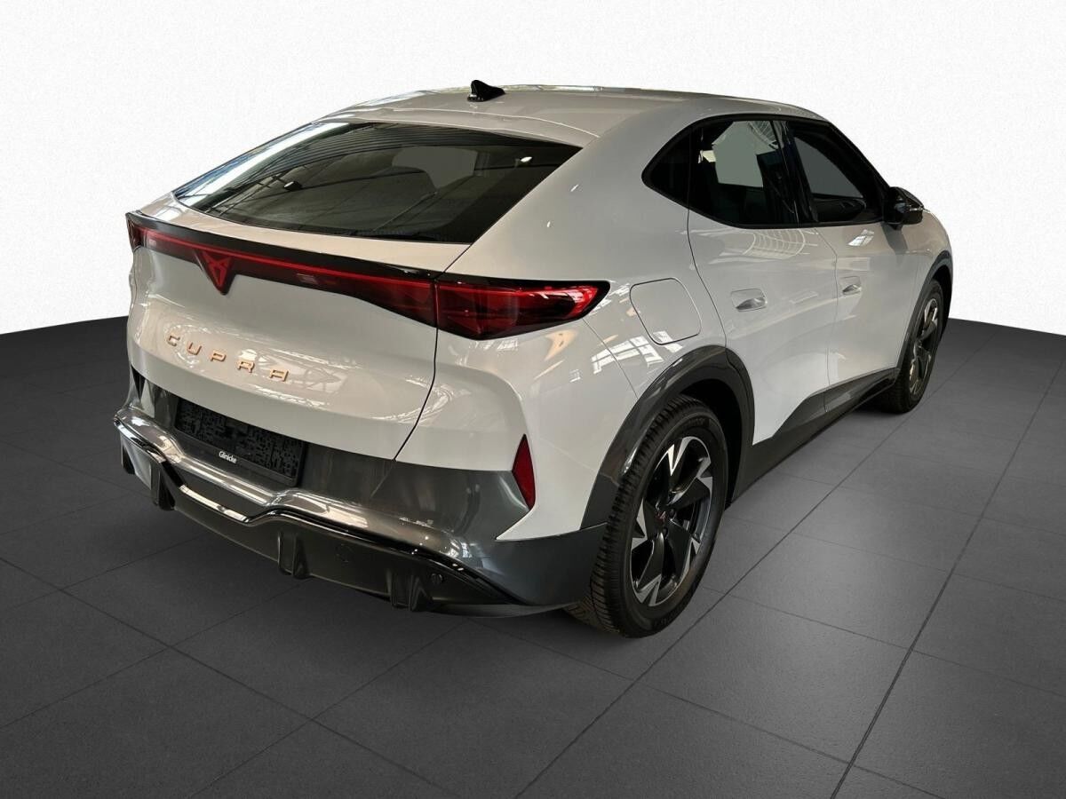 Cupra Tavascan Endurance h