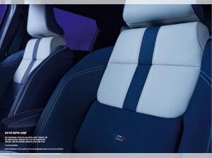 Alpine A290 GT - WUNSCHBESTELLUNG - NUR GEWERBEKUNDEN - BUNDESWEIT - 2 MONATSRATEN GESCHENKT