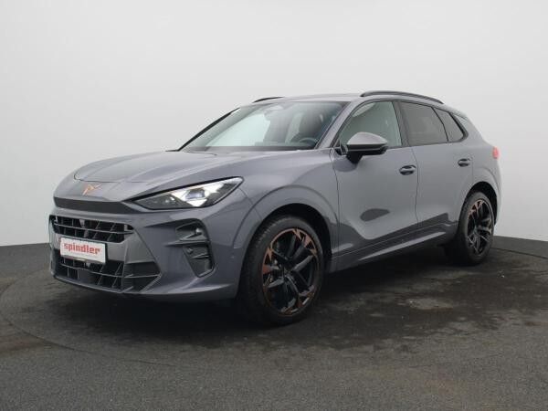 Cupra Terramar VZ 2.0 TSI 4Drive DSG / Pano, Matrix