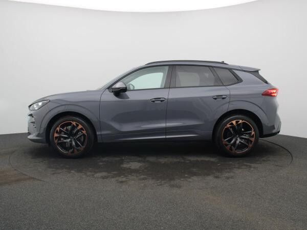 Cupra Terramar VZ 2.0 TSI 4Drive DSG / Pano, Matrix