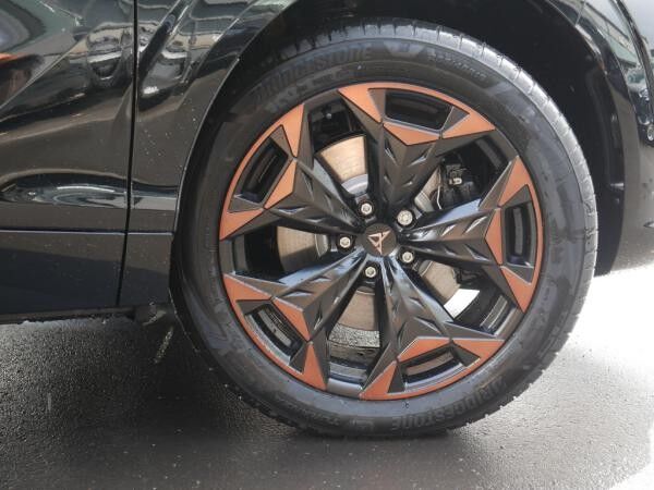 Cupra Terramar VZ 2.0 TSI 4Drive - LED PANO MATRIX-LED *SN115*