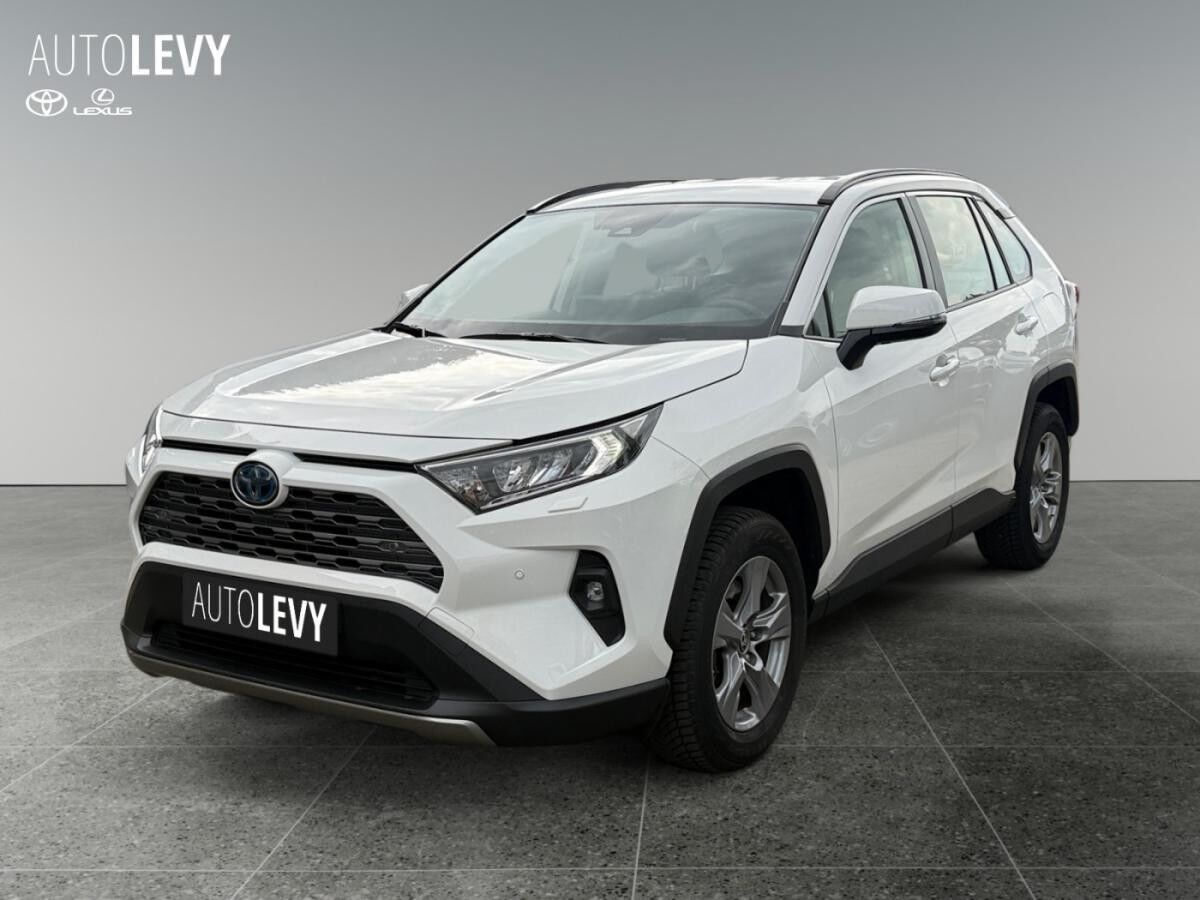 Toyota RAV 4 2.5 Hybrid Business +Allwetter+Temp+Kamera+