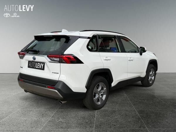 Toyota RAV 4 2.5 Hybrid Business +Allwetter+Temp+Kamera+