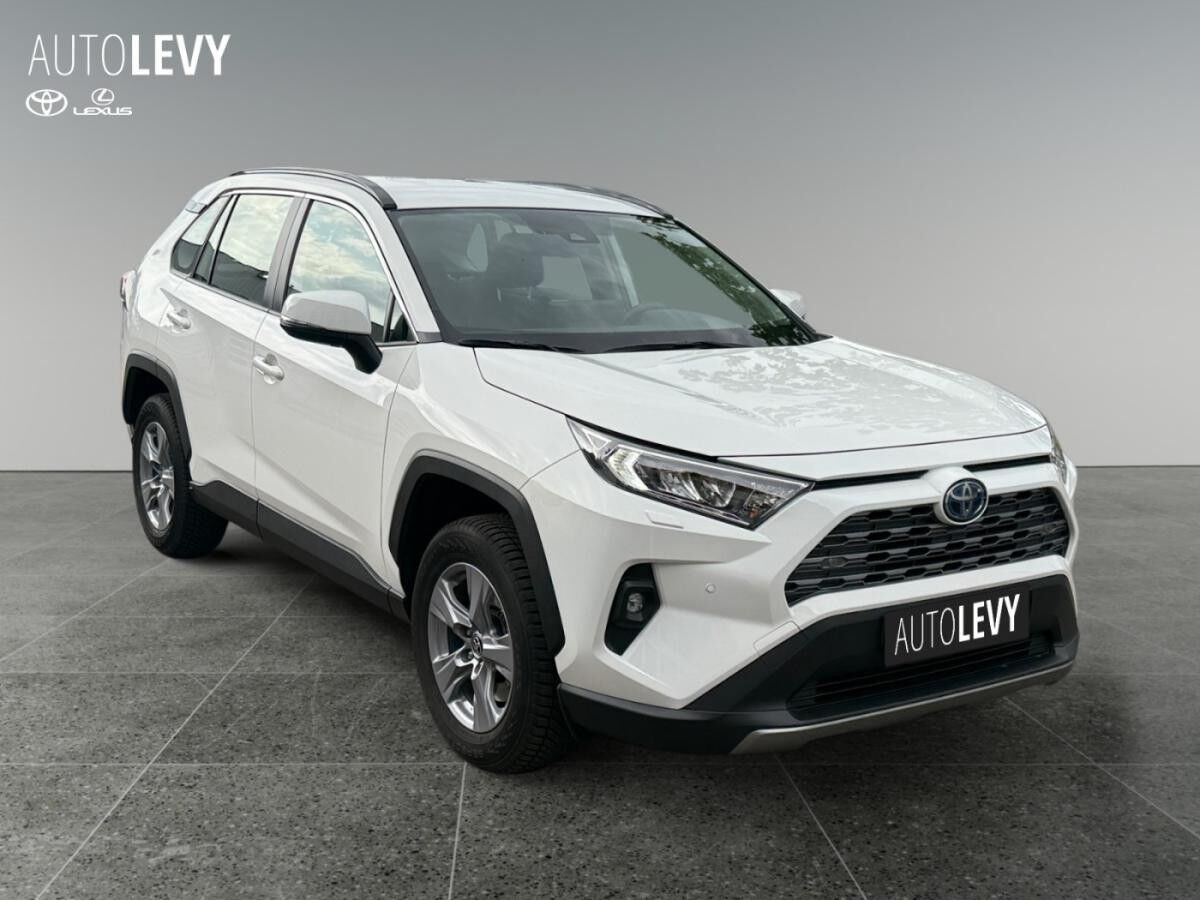 Toyota RAV 4 2.5 Hybrid Business +Allwetter+Temp+Kamera+