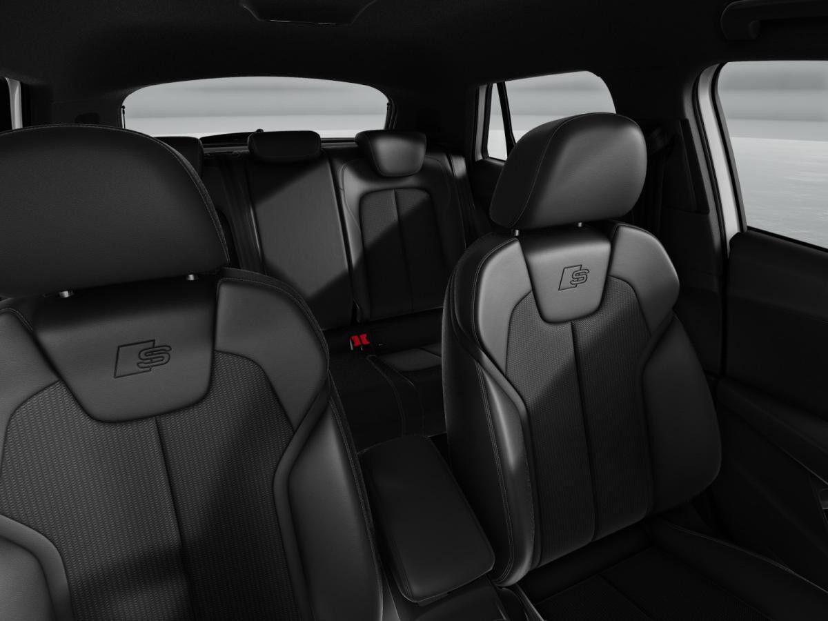 Audi Q2 S line 35 TDI S tronic Standheizung