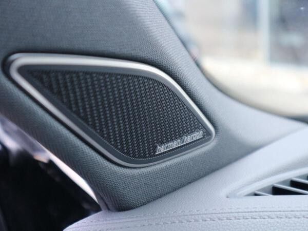 Volkswagen Tiguan R-Line 1,5 l eTSI OPF (150 PS) DSG*AHK*PANORAMA*HARMAN KARDON*STDHZG*