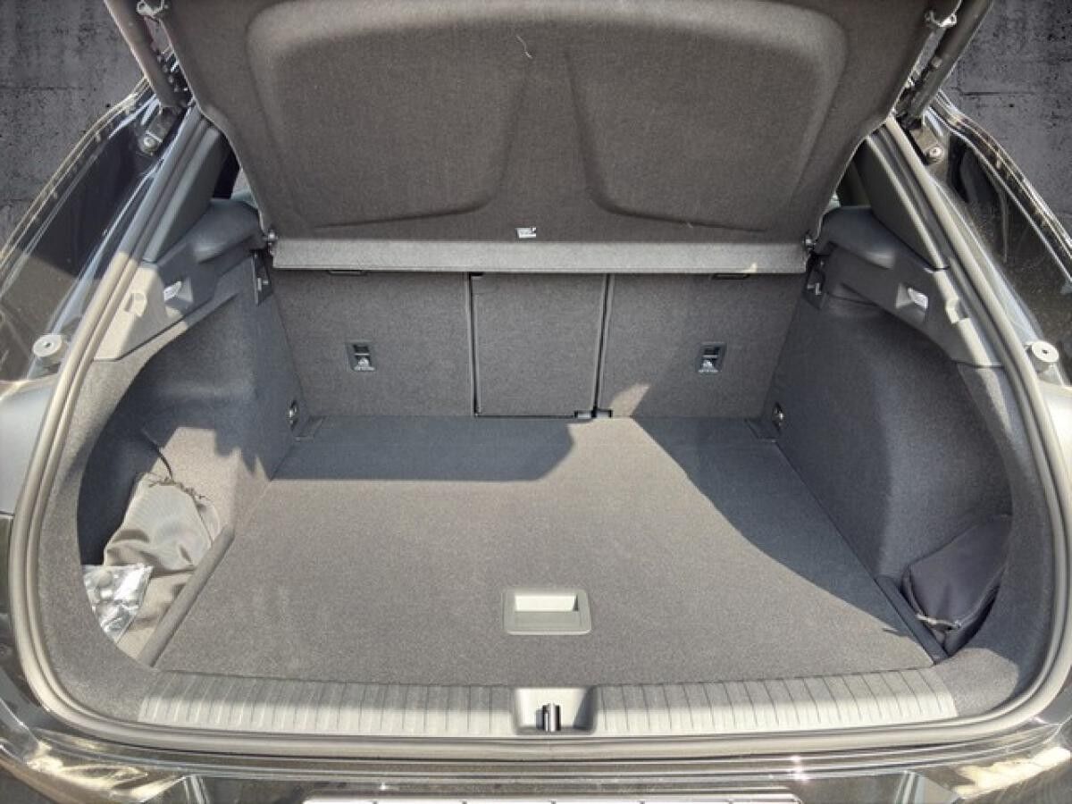 Cupra Terramar 2.0 TSI 4Drive DSG 20 HD-MATRIX | SENNHEISER | INTELLIGENT DRIVE