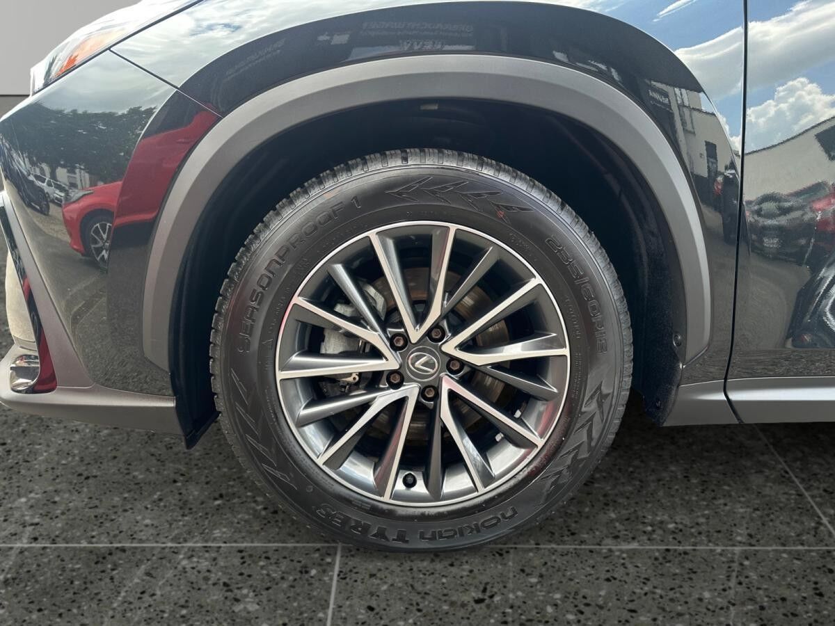 Lexus NX 350h Executive +Allwetter+Panorama+Kamera+Temp