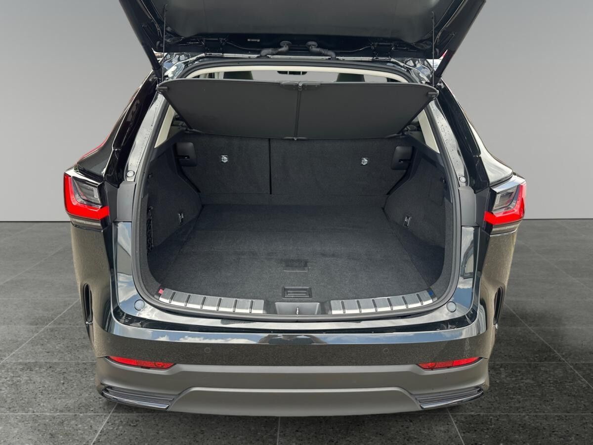 Lexus NX 350h Executive +Allwetter+Panorama+Kamera+Temp