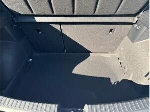 Seat Leon 1.5 eTSI Road Edition DSG SHZ|FaPa M|RFK