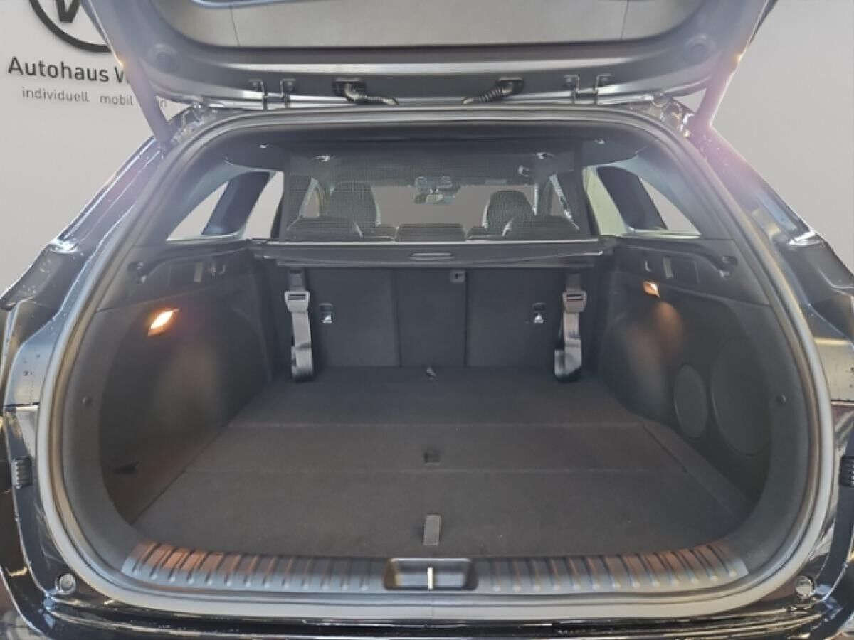 Kia EV3 Earth WiCon Busi Upgrade