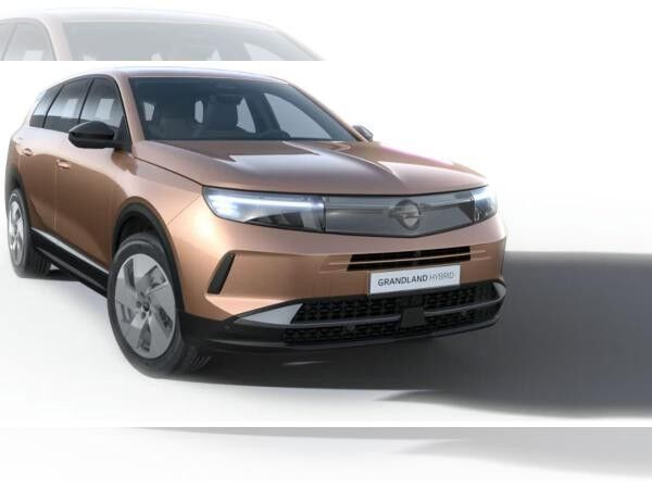 Opel Grandland Edition | Bestellfahrzeug | Gewerbe