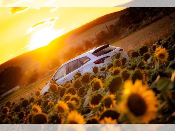 Suzuki Swace 1.8 Hybrid CVT Comfort+