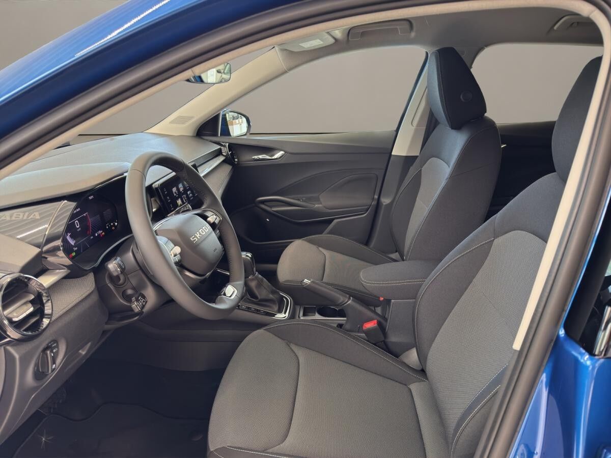 Skoda Fabia Tour SOFORT VERFÜGBAR ACC AUT Kamera DynLicht PDC