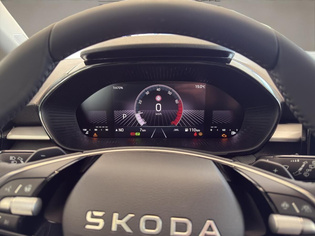 Skoda Fabia Tour SOFORT VERFÜGBAR ACC AUT Kamera DynLicht PDC