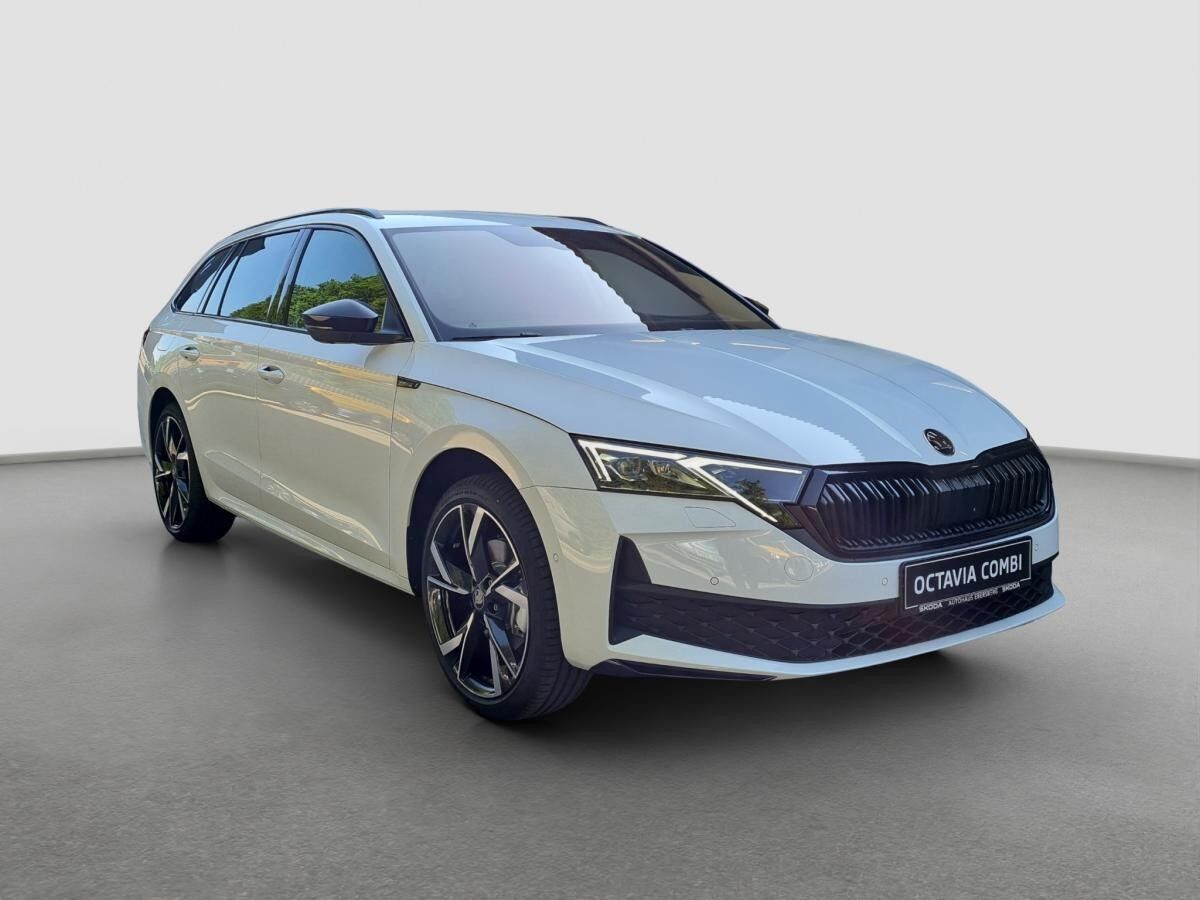 Skoda Octavia Combi 2.0 TDI DSG MATRIX AHK 360° Winter