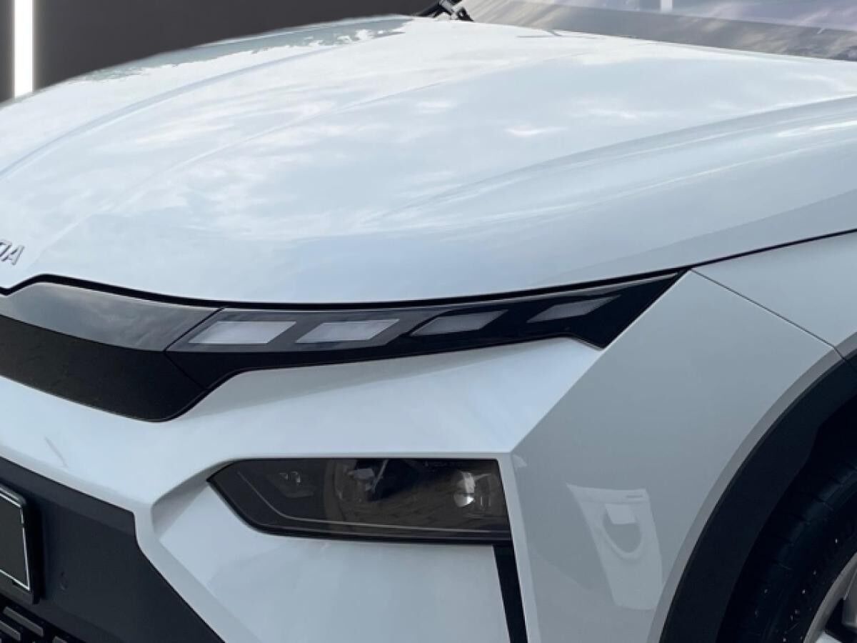 Skoda Elroq 85 DSG Matrix,Navi,Wärmepumpe,AHK,ACC