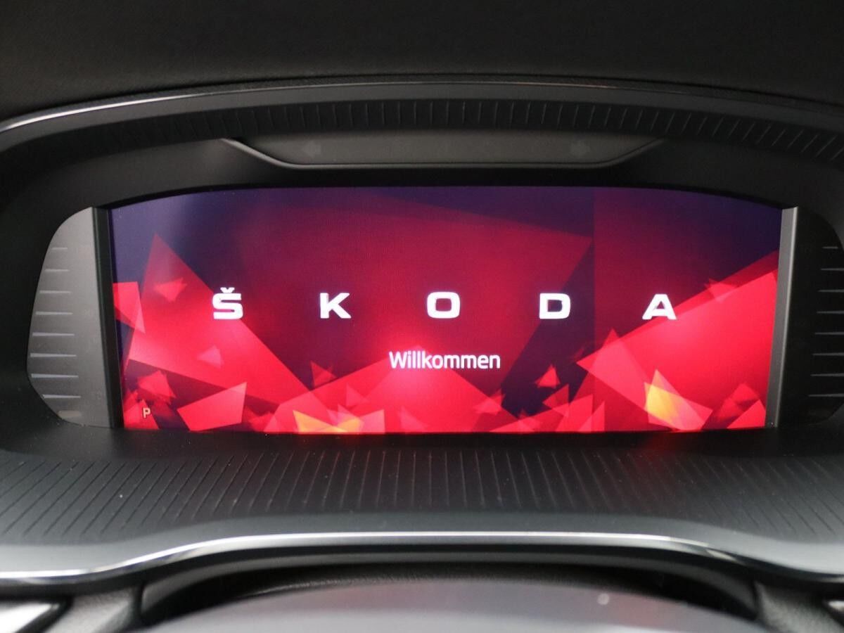 Skoda Octavia Combi RS 2.0 TDI DSG / Matrix, Navi, SHZ