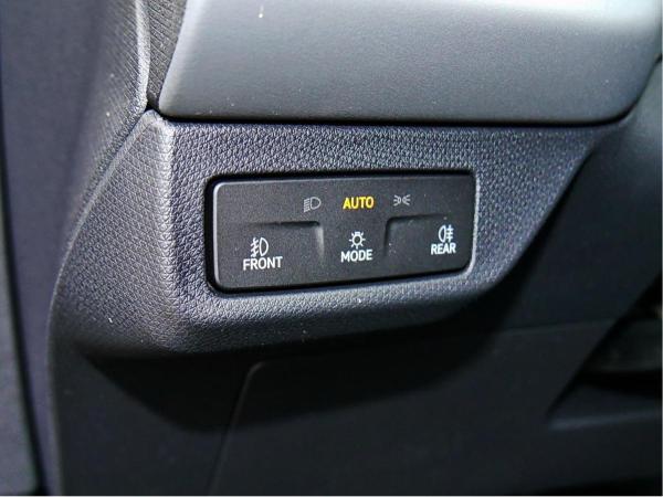 Cupra Terramar VZ 2.0TSI *sofort verfügbar*