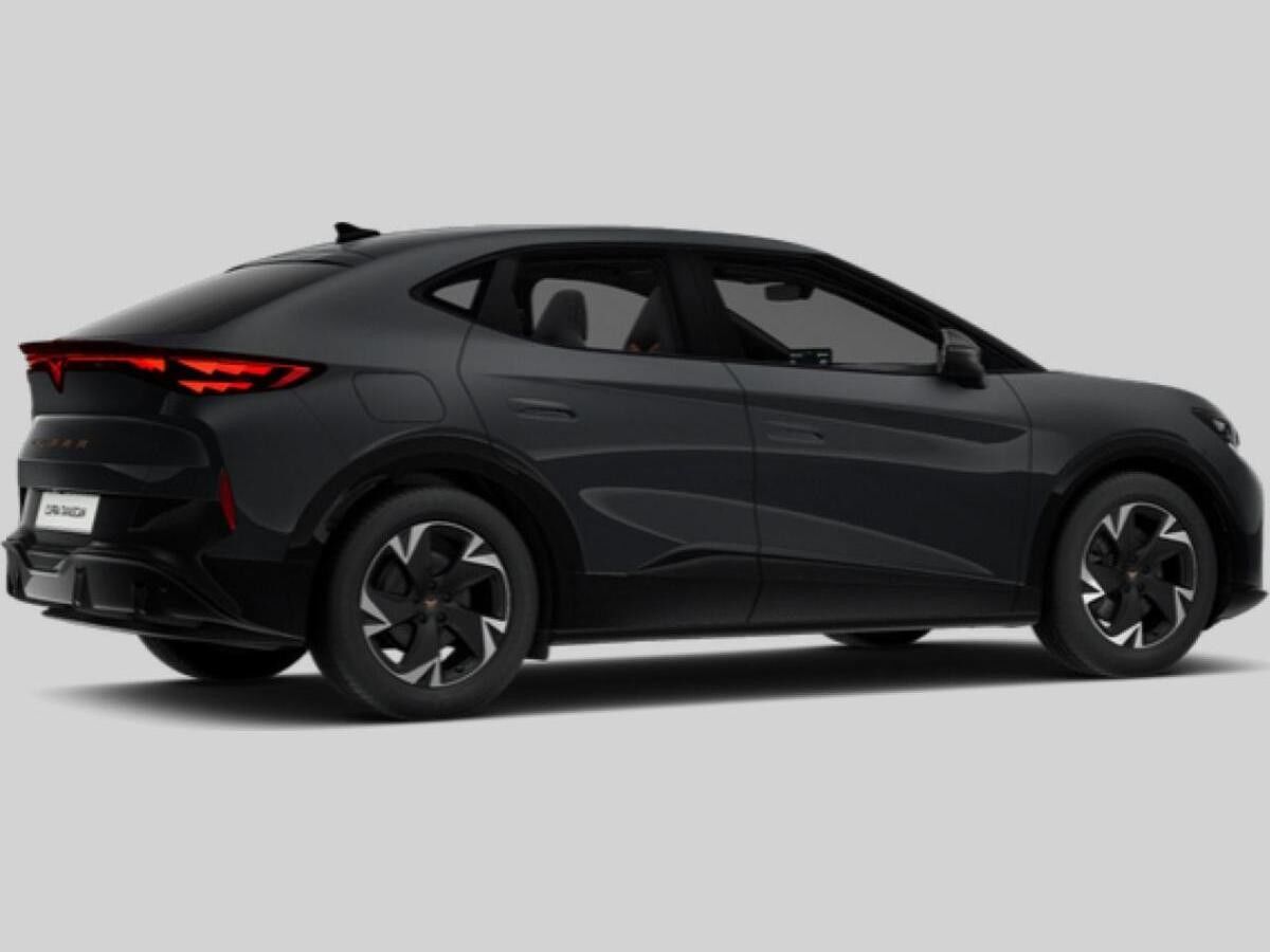 Cupra Tavascan Endurance h