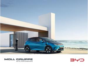 BYD DOLPHIN Comfort 💡🚗 inkl. staatliche E-Autoprämie von 6000€