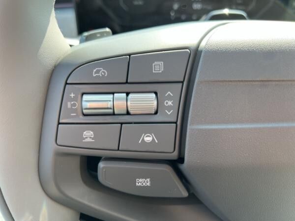 Kia EV3 58,3-kWh Earth P3/P4/P5/P6/P7  👉KIA Service Flatrate inklusive!*😮
