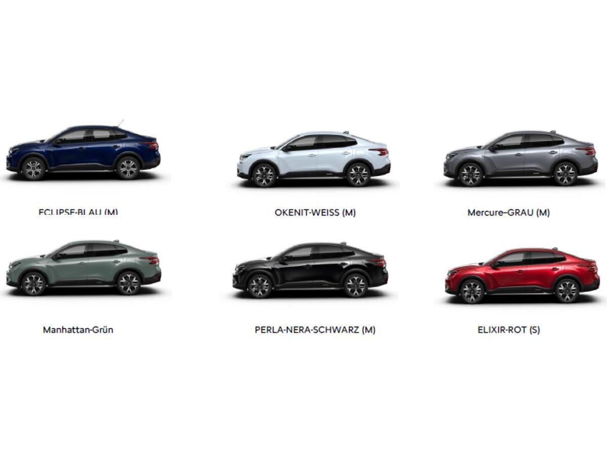 Citroën C4 X PureTech 130 Stop&Start EAT8 PLUS Iinkl. WINTERPAKET