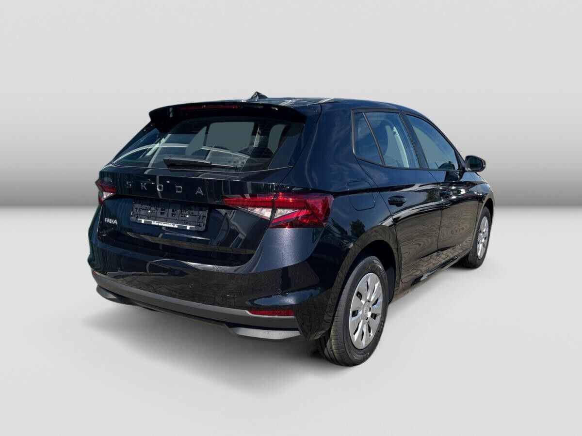 Skoda Fabia Selection 1,0 TSI 7-Gang-DSG Parken