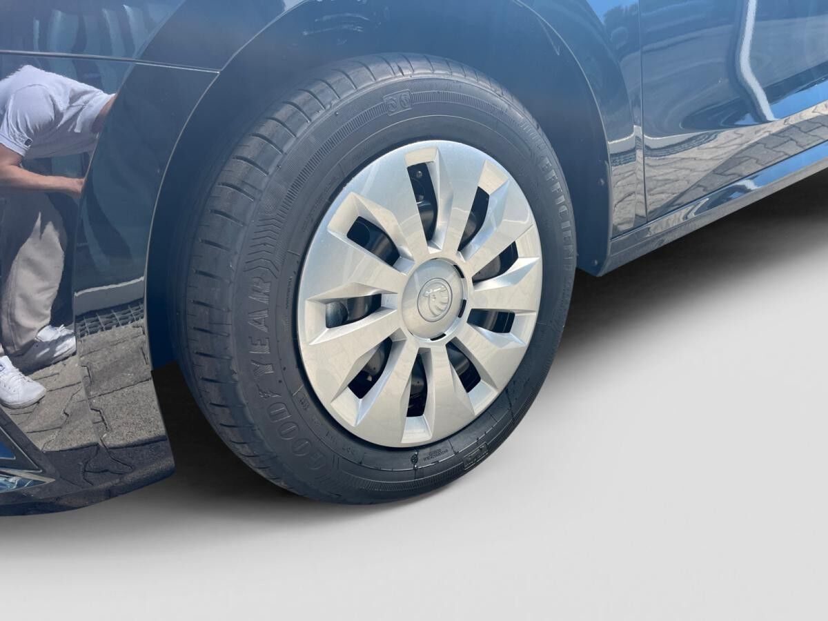 Skoda Fabia Selection 1,0 TSI 7-Gang-DSG Parken