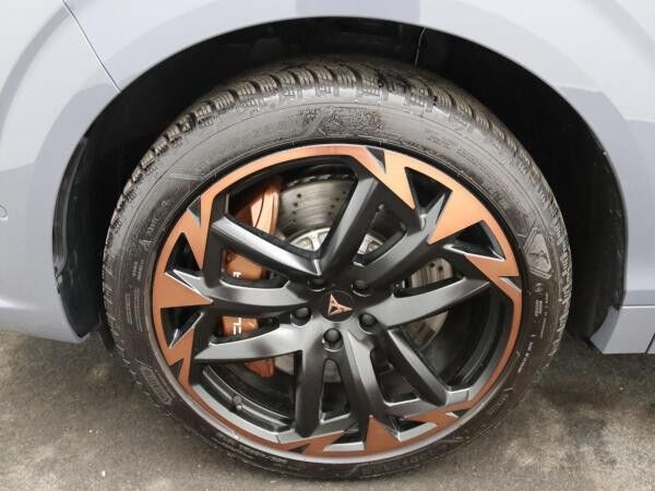 Cupra Terramar VZ 2.0 TSI 4Drive DSG / Pano, Matrix