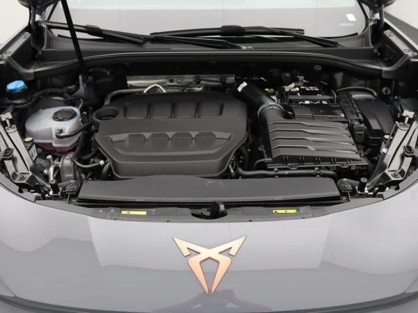 Cupra Terramar VZ 2.0 TSI 4Drive DSG / Pano, Matrix