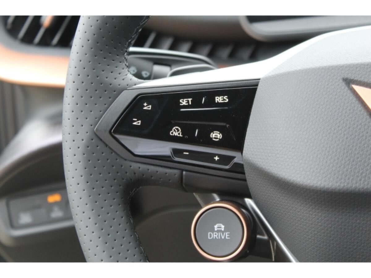 Cupra Tavascan 77kWh Endurance NAVI LED WÄRMEP. KAMERA SHZ GRA 19