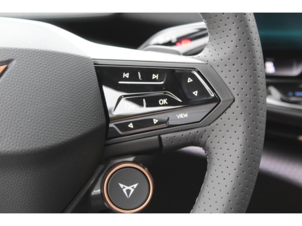 Cupra Tavascan 77kWh Endurance NAVI LED WÄRMEP. KAMERA SHZ GRA 19